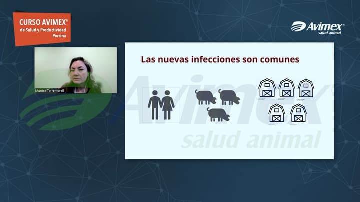 Control de la influenza porcina: El papel de los animales de reemplazo, la bioseguridad y la vacunación