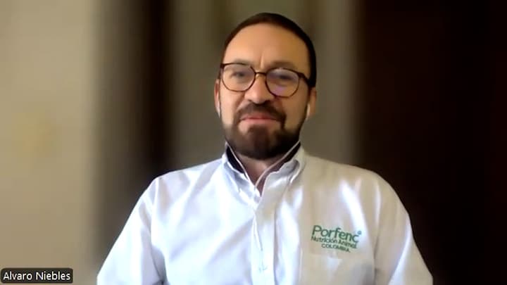 Efectos del amoníaco en camas avícolas