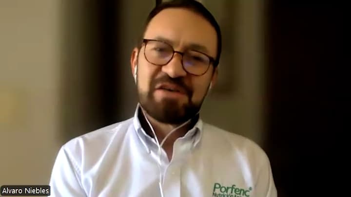 Reducción de niveles de amoníaco en camas avícolas: Ensayos de campo