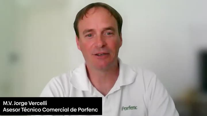 Micotoxinas en ponedoras: Impacto nutricional