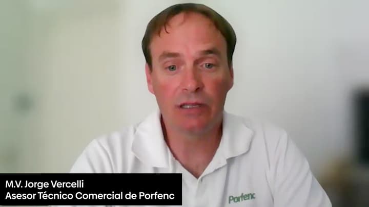 Micotoxinas y su efecto sinérgico en monogástricos