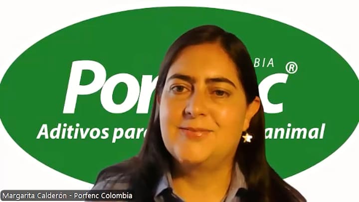 Interacciones Invisibles del Agua en la Nutrición y Salud Aviar