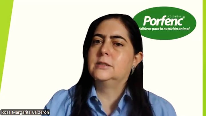 El agua como elemento esencial en la producción avícola