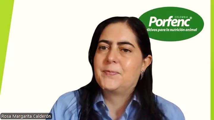 Triángulo del fracaso hídrico en avicultura: ¿Qué es y cómo impacta?