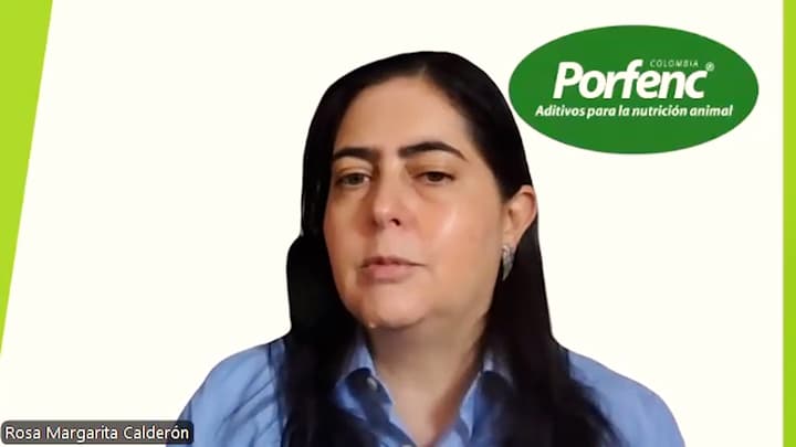 Calidad de agua en avicultura: ¿Se puede perder el efecto de un antibiótico?