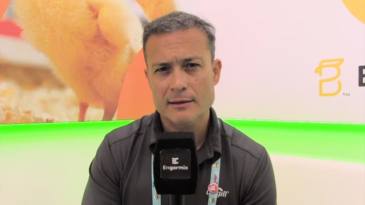 Control ambiental en instalaciones avícolas en la India