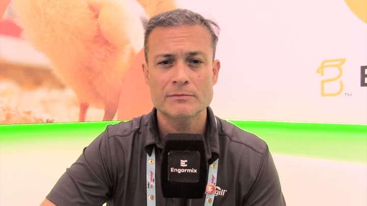 Instalaciones avícolas: Sistemas precisos de control ambiental