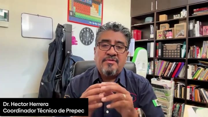 Inmunonutrición en lechones: Estrategias en el destete