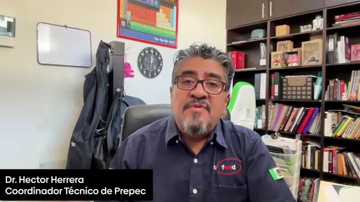 Inmunonutrición porcina: Estrategias por etapa