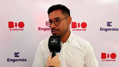 Pollos: ¿Cómo evaluar si un alimento balanceado es realmente eficiente?
