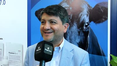 ¿Cómo mejorar la reproducción bovina con sales minerales?