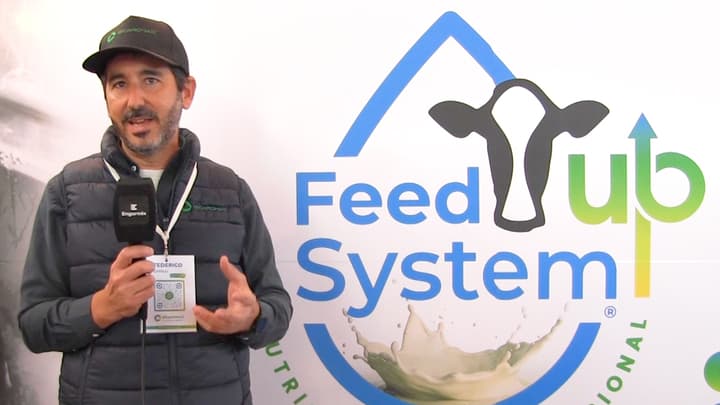 Nutrición multidimensional en lechería: Feed Up System