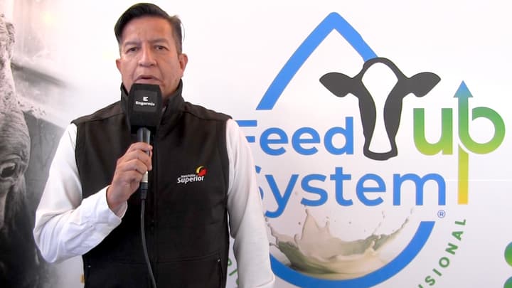 Mejorar la calidad del pellet y estabilizar la producción con aglutinantes y saborizantes