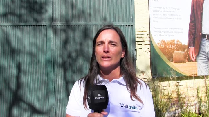 La vaca en transición: claves y estrategias para mejorar el inicio de la lactancia