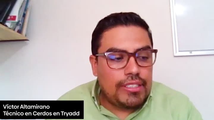 Monitoreo de Micotoxinas en el alimento