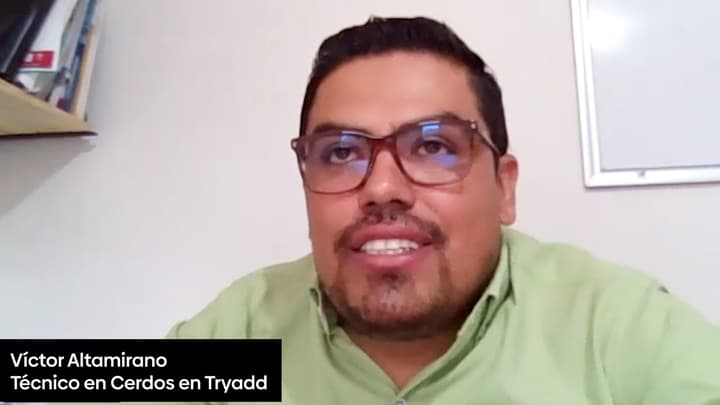 Micotoxinas: qué hacer cuando un lote supera los niveles permitidos