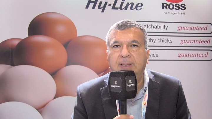 Genética Hy-Line en Emiratos Árabes