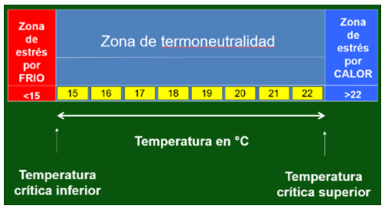 Temperaturas críticas superior e inferior en un ternero de hasta 15 días