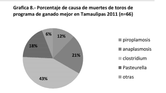 Vacuna contra piroplasmosis en bovinos de Tamaulipas, ventajas y beneficios. - Image 10