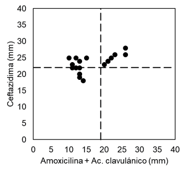 Figura 1. Diagrama de dispersión diámetros de inhibición Ceftazidima y Amoxicilina + Ac. clavulánico.