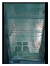 Evaluación de metropeno como una alternativa para el control de moscas (musca domestica) en establos lecheros - Image 1