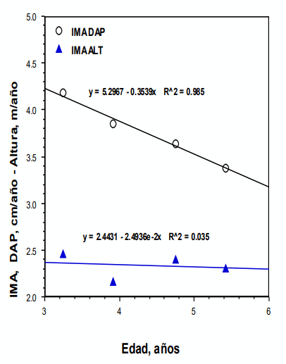 FIGURA 1. Incrementos medios anuales (IMA) para altura y diámetro en función de la edad de laurel (Cordia alliodora) asociado con Brachiaria brizantha en un sistema silvopastoril en EARTH, Guácimo, Costa Rica.