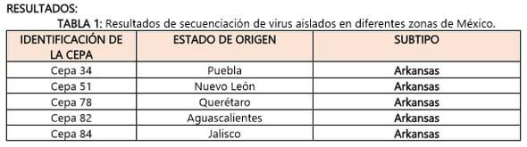 Determinación del índice neutralizante de cepas variantes de bronquitis infecciosa aviar aisladas en México durante el año 2015. - Image 1