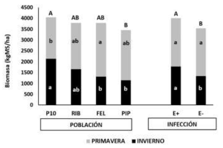 Figura 1. Producción de biomasa estacional y acumulada según población de raigrás anual y estado de infección endofítica. Ensayo C. del Uruguay
