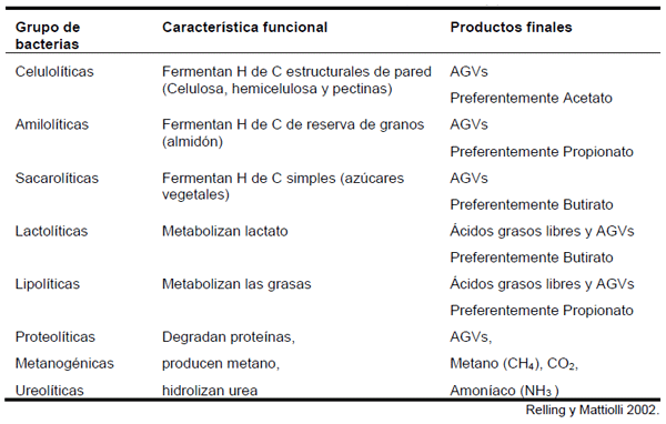 Cuadro 2. Clasificación funcional de las bacterias ruminales, substratos y productos.
