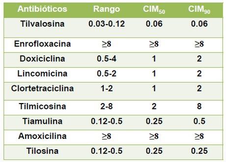 Susceptibilidad antibiótica in vitro de cepas argentinas de mycoplasma synoviae aisladas de gallinas de postura comercial - Image 2