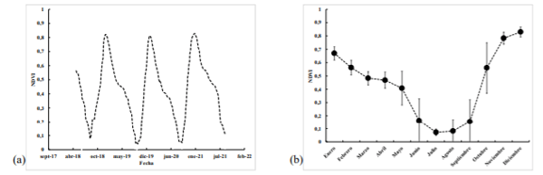 Figura 2. Variabilidad anual (a) y mensual (b) del NDVI en la terraza del río Ranquil (2018- 2021).