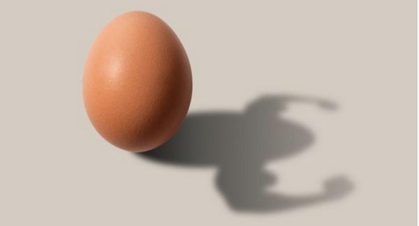 Beneficios nutricionales del huevo - Image 1