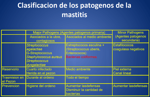 Mastitis - Introduccion, los factores que influyen en la salud de la ubre. - Image 11