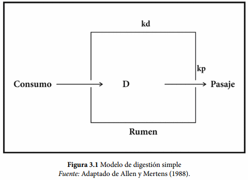 Modelos de digestión ruminal del almidón - Image 2