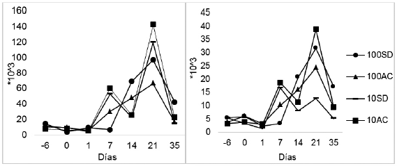 Figura 2 y 3. Linfocitos (izq.) y granulocitos (der.) con dos modalidades de suministro de alimento y dos asignaciones de superficie en el acostumbramiento.