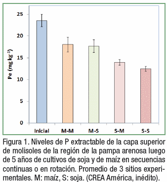 El valor de los estudios de largo plazo para el manejo de la nutrición de soja - Image 1