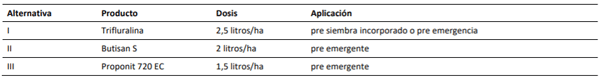 Opciones de herbicidas pre siembra y pre emergente en el cultivo de raps forrajero.