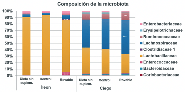 Figura 2 – Rovabio® aumentó significativamente las bacterias de las familias Enterococcaceae y Clostridiaceae 1 en el íleon y Lachnospiraceae y Ruminococcaceae en el ciego de pollos de engorde el día 14 (P < 0.05)