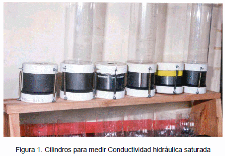 Efecto de la poliacrilamida en las propiedades físicas de un suelo arenoso - Image 1