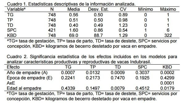 Análisis de la fertilidad y productividad de vacas indubrasil - Image 1
