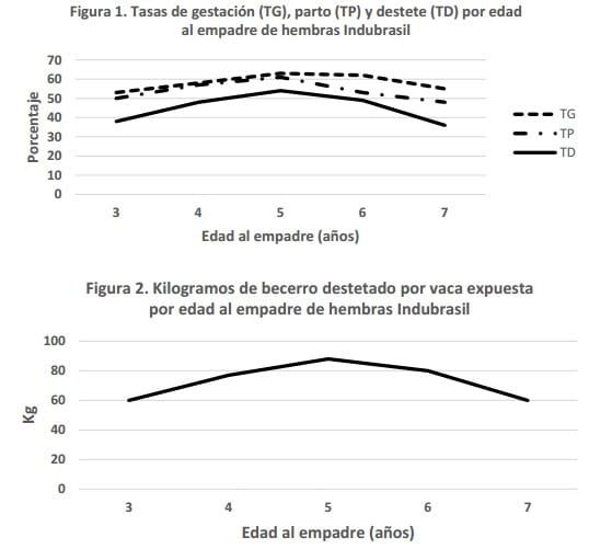 Análisis de la fertilidad y productividad de vacas indubrasil - Image 2