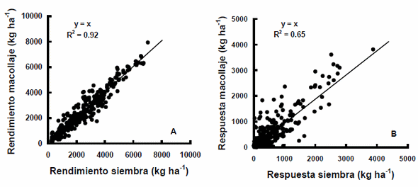 Revisión del efecto del momento de aplicación de nitrógeno en trigo sobre el rendimiento y la proteína en grano - Image 1