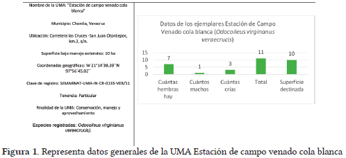 Caracterización de sistemas de producción, ganadería diversificada con venado cola blanca (odocoileus virginianus veraecrucis), Veracruz, México. - Image 1