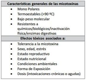 ¿Qué son las micotoxinas? Micotoxicosis: Consideraciones Generales - Image 1
