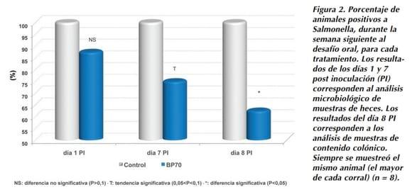 Evaluación de la eficacia del Butirato Sodico Protegido en la prevención de la Salmonelosis Porcina - Image 2