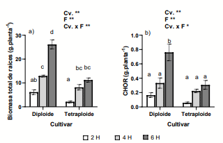 Figura 1: a) Biomasa total de raíces (g.planta-1 ) y b) Contenido de carbohidratos de reserva (CHOR; g.planta-1 ) asociados al cultivar (cv. diploide y cv. tetraploide y la frecuencia de corte (en 2 hojas completamente expandidas del rebrote (2H), 4 H y 6 H (n=3). Cv= cultivar y F= frecuencia de corte. En a) y b), existió una interacción significativa entre los factores analizados; ** P< 0,01 y * P< 0,05. Valores promedio ± sem.