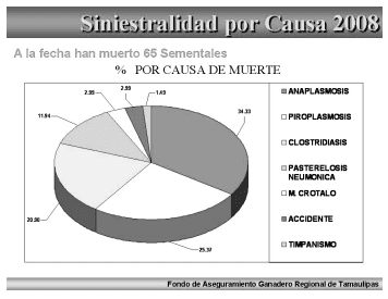 Vacuna contra piroplasmosis en bovinos de Tamaulipas, ventajas y beneficios. - Image 1