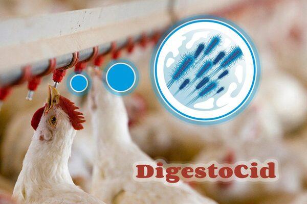 Efecto bacteriostático y bactericida “in vitro” de DigestoCid© y dos productos de la competencia - Image 1