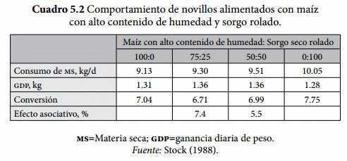 Mezclas de granos - Image 2