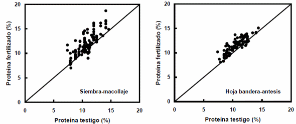Revisión del efecto del momento de aplicación de nitrógeno en trigo sobre el rendimiento y la proteína en grano - Image 3